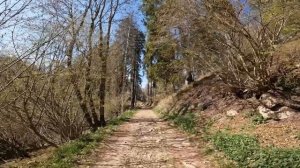 WalkWithFede: Campo dei Fiori di Varese, dall'Osservatorio al Forte d'Orino