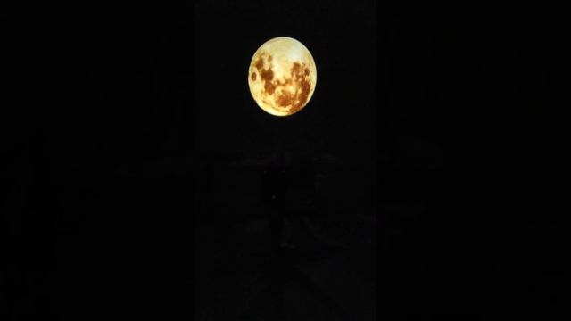 MOON PROJECTOR NIGHT LAMP