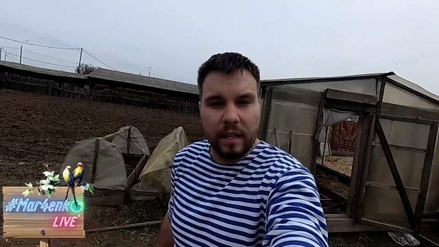 МИР. ТРУД. МАЙ | деревенский дайджест | наше ПРОСТОКВАШИНО смотреть онлайн