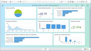 HANA Modeling with Hospital One and SAP Business One