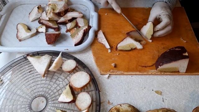 Как сушить грибы на зиму часть 2. #2 смотреть онлайн