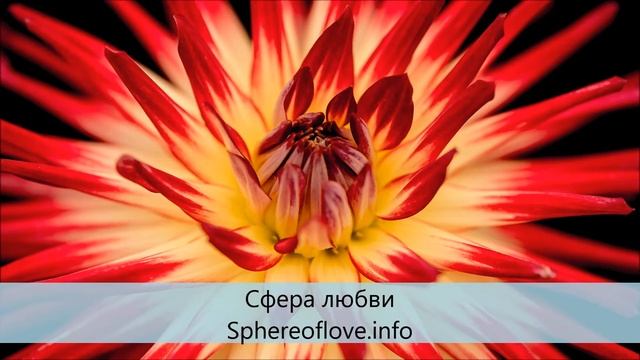 Ченнелинг-медитация. Как мы помогли инопланетянам