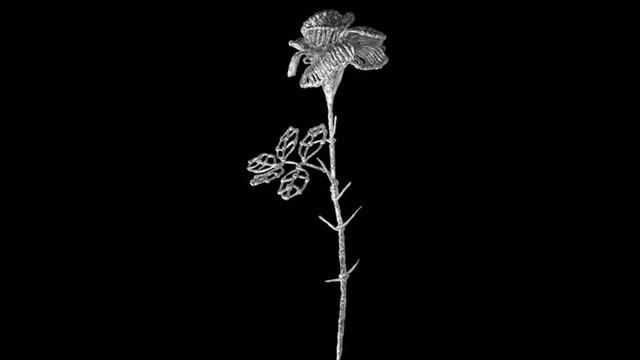 Плетение из фольги. Автор: Олеся Емельянова смотреть онлайн