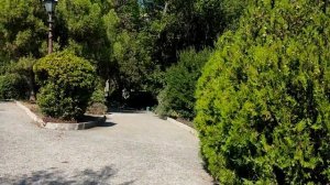 Парк санатория "Прибрежный" Крым