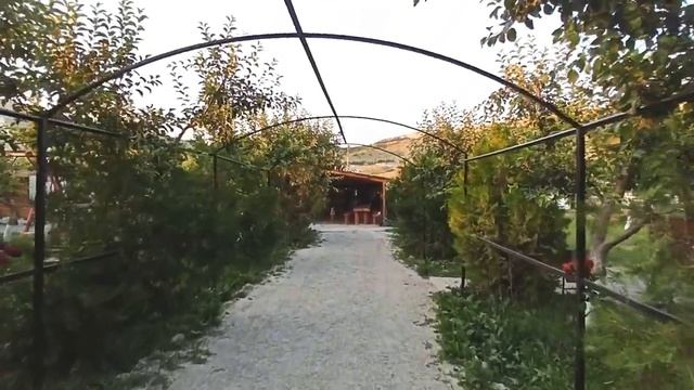 Лавандовые поля Крым и Белая скала. Что посмотреть?!