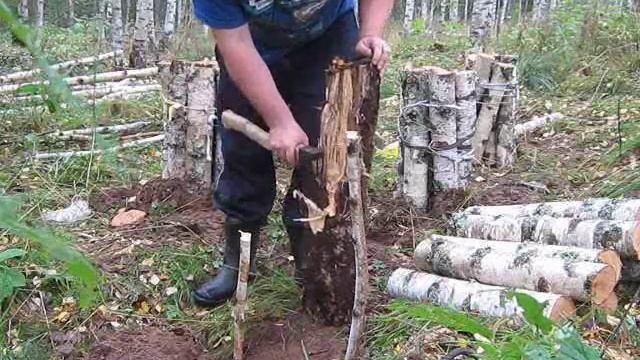 Как выращивать опенок смотреть онлайн