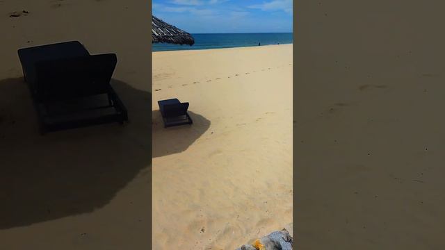 Пляж отеля Сихорс Муйне - Sea Horse Muine Resort