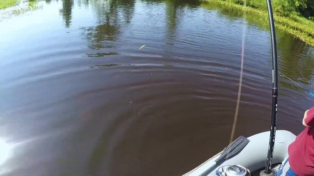 Рыбалка в сплав.Щучки и окунь на спиннинг.Красота и природа малых рек Подмосковья. смотреть онлайн
