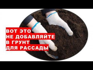 Вот это нельзя добавлять в почвогрунт для рассады