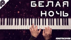 БЕЛАЯ НОЧЬ - В. Салтыков | #INSTRCOVER #белаяночь