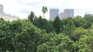 Огород на балконе в Москве