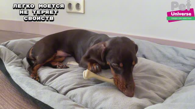 PU8001B Игрушка для собак Pet Universe кость жевательная со вкусом говядины, 18х3,5х4,5 см смотреть онлайн