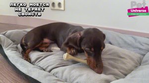 PU8001B Игрушка для собак Pet Universe кость жевательная со вкусом говядины, 18х3,5х4,5 см