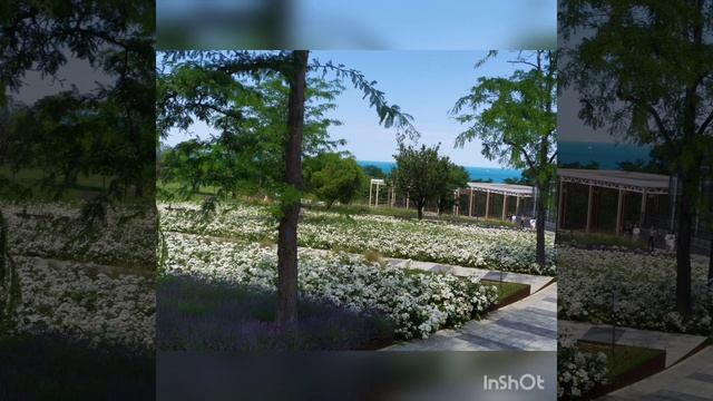 парк для отдыха возле моря "Учкуевка" Севастополь. стихи Афанасий Фет "Если радует утро тебя... " смотреть онлайн