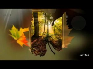 Олег Чуприн - Листья жёлтые (ремикс)(08.11.12)