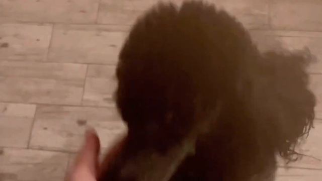 ДЕЛАЕМ САМИ ПЛАСТМАССОВЫЕ МИШКИ| не надо было это делать.... смотреть онлайн