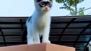 Этому городу нужен новый герой!