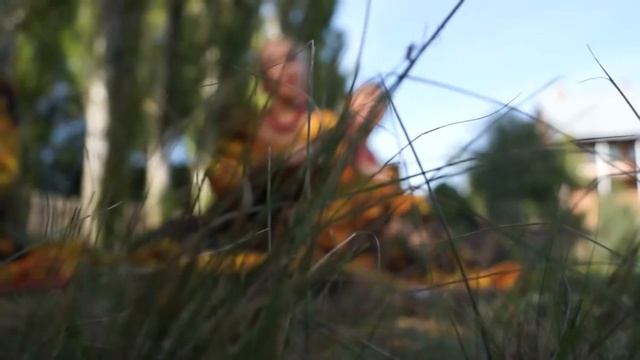 Народный ансамбль русской песни "Тарантасик" - Куст рябиновый