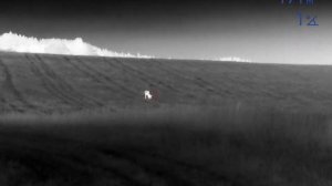 Pulsar Axion 2 LRF XG35