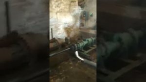 Линия по производству брикета из отходов Подсолнечника