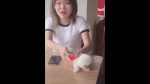 Милые животные_39