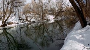 Внимание! Работает Brown Perch! Или не работает_ _).webm