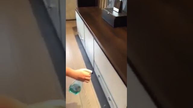 Поддерживающая уборка 2 смотреть онлайн