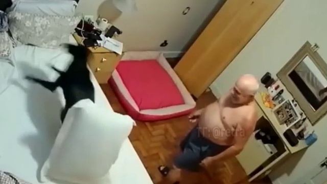 Дедушке подарили собаку