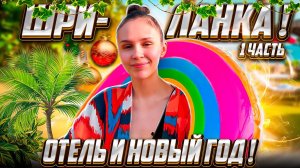 Шри-Ланка. Часть 1. Черепаха укусила за попу! 😂