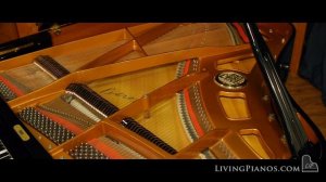 Petrof Grand Piano Model III for Sale - Living Pianos: Online Piano Store