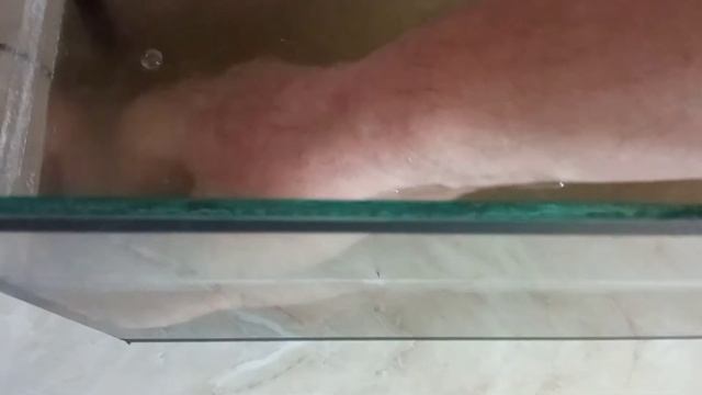 Ловлю лягушек у себя дома смотреть онлайн