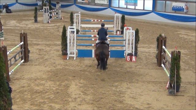 Heiniger-Pferde.com Doppelsieger 125 cm Buchs Okt. 2014 смотреть онлайн