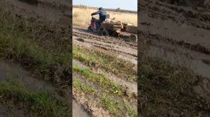 Мотороллер Муравей. за дровами через грязь)