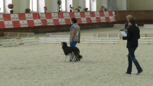 FCI Obedience World Championship 2016 ( Final )