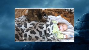 Cat lulling a baby   Кошка убаюкала ребенка