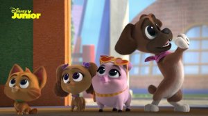 Guess the Dog! 🐶 | Interactive Game | Puppy Dog Pals | @disneyjunior