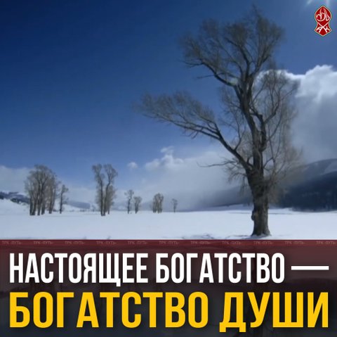 Настоящее богатство — богатство души
