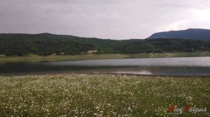 Тестируем рыбалку на Алгетском водохранилище