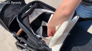 Коляска BabyZz Dynasty обзор