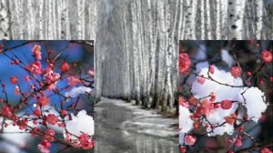 Ты мне песню подари