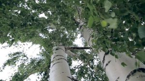 Детский клип - У моей России (город Тобольск)