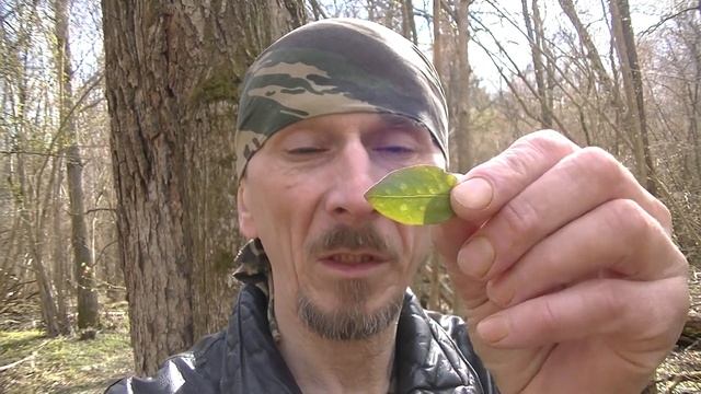 ВЕСНА,ГРИБЫ,МЕДУНИЦА,СНЕГ,ГРАД,БЛАГОДАТЬ!, смотреть онлайн