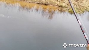 Бейткастинг и ХэвиМормышинг.