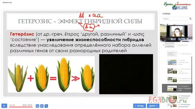 Селекция. Методы. Видеоуроки биологии на egebio.ru