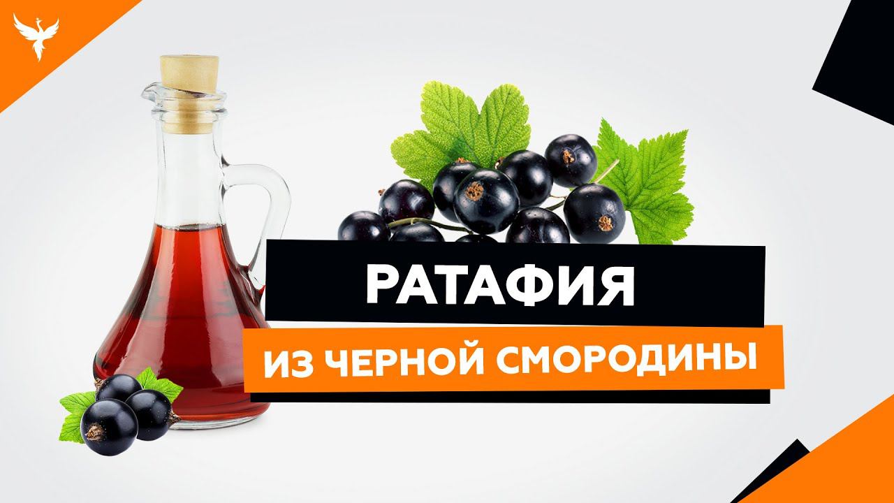 рДЖ 16: Ратафия из черной смородины