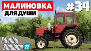Farming Simulator 22: Малиновка - Подготовка к сбору травы #34