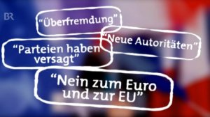 Rechtspopulisten im Europäischen Parlament