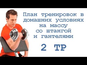 План тренировок в домашних условиях на массу со штангой и гантелями (2 тр)