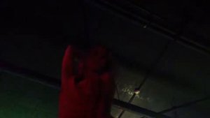 танцы на барной стойке