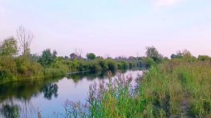 Магнитогорск, окраина посёлка Новосавинского, пустырь и река Урал (28.08.2022)